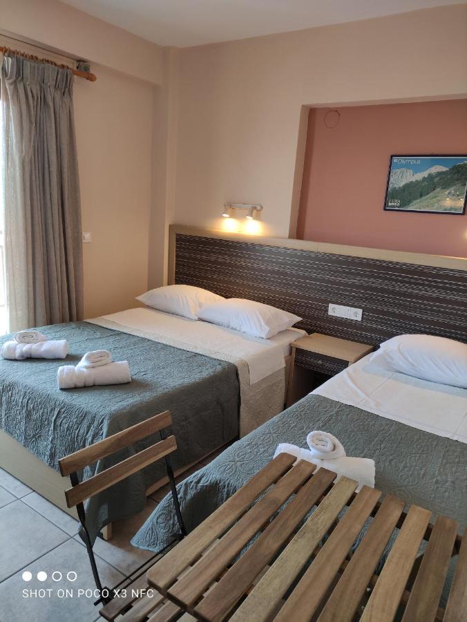 Villa Odyssia Paralia Katerinis Ngoại thất bức ảnh